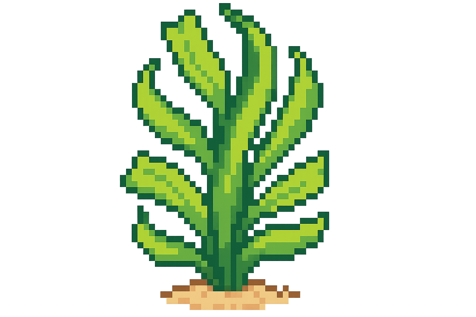 Edit Asset