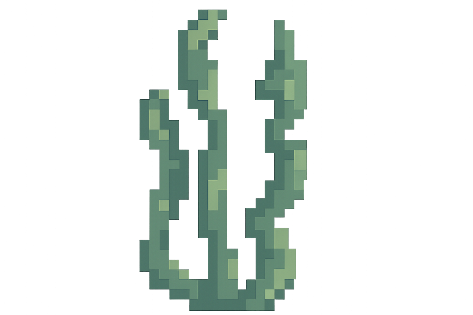 Edit Asset