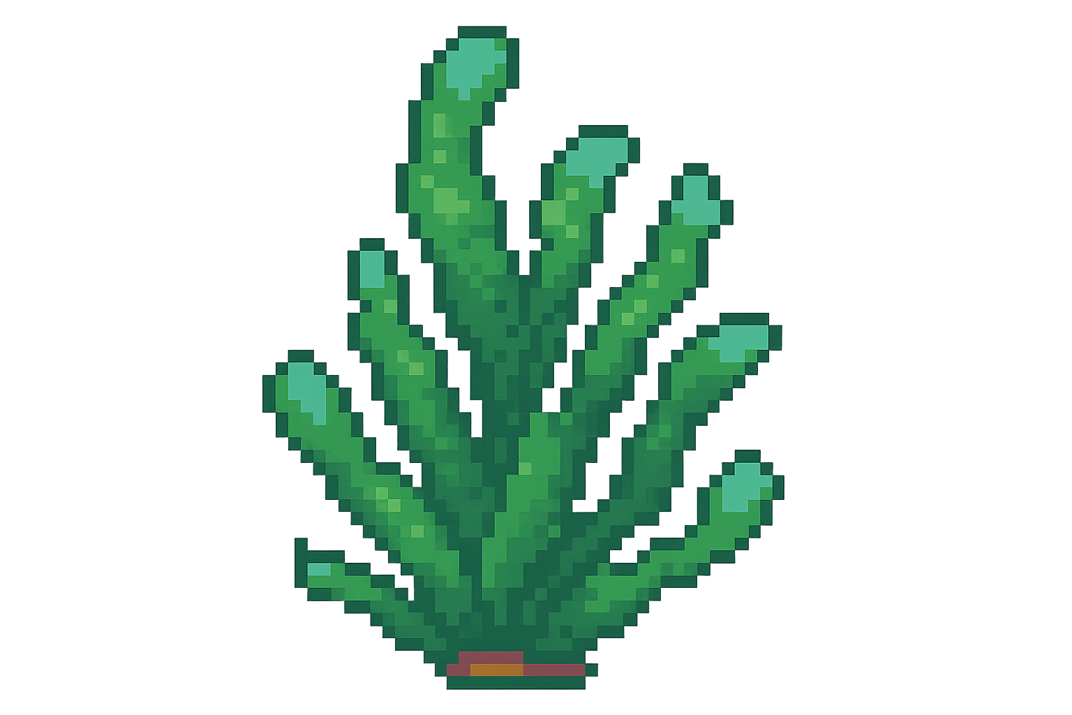 Edit Asset
