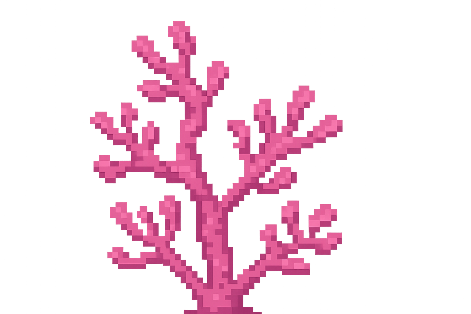 Edit Asset