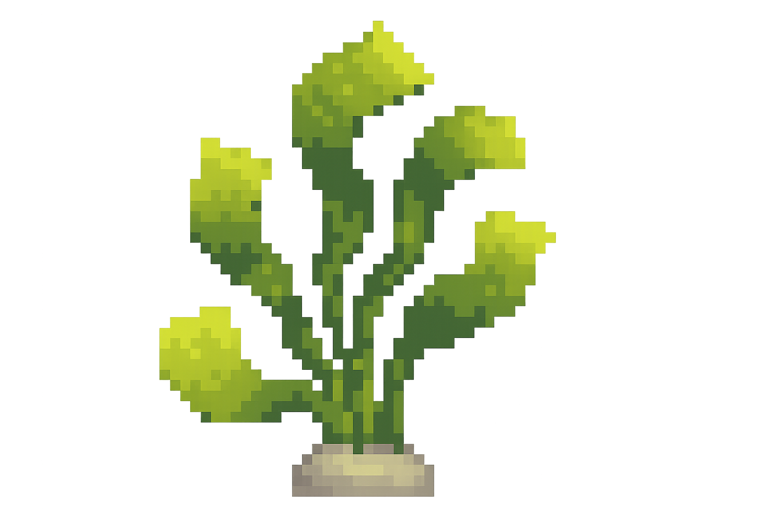 Edit Asset