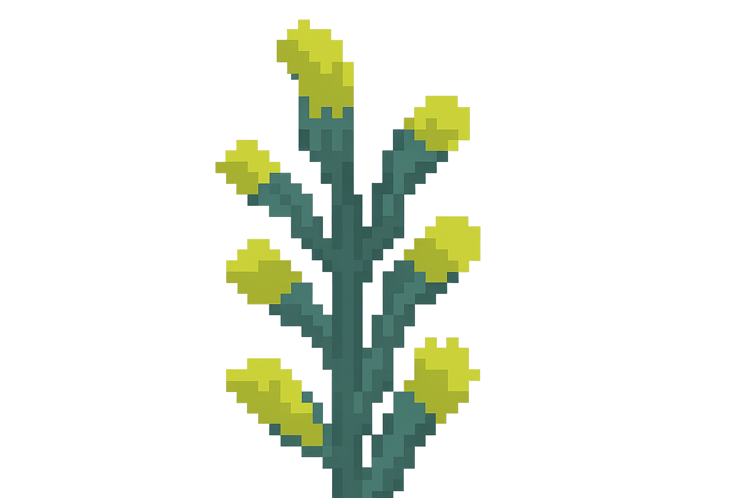 Edit Asset
