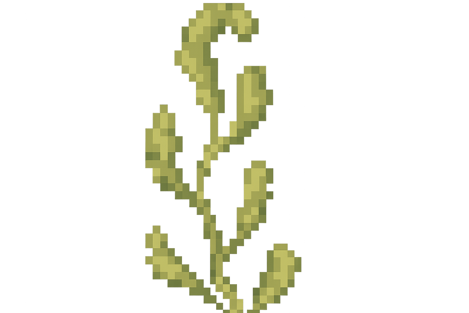 Edit Asset