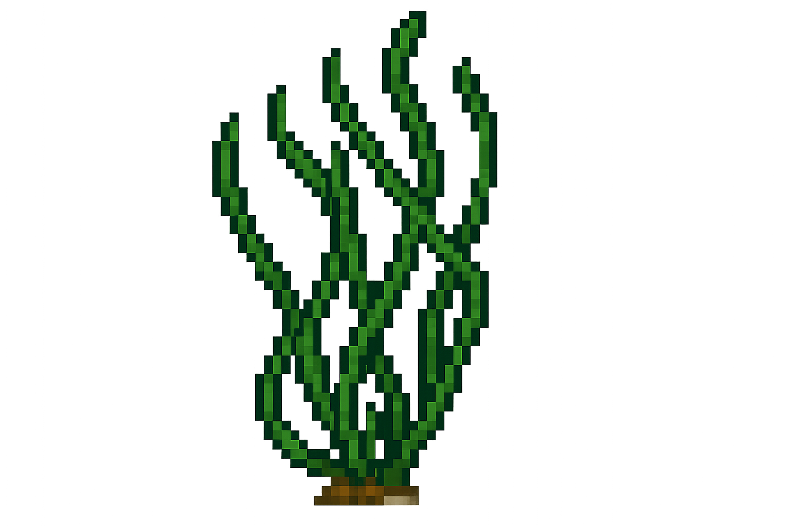 Edit Asset