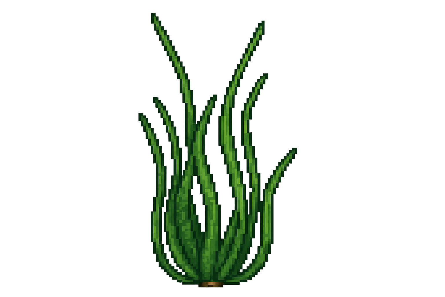 Edit Asset