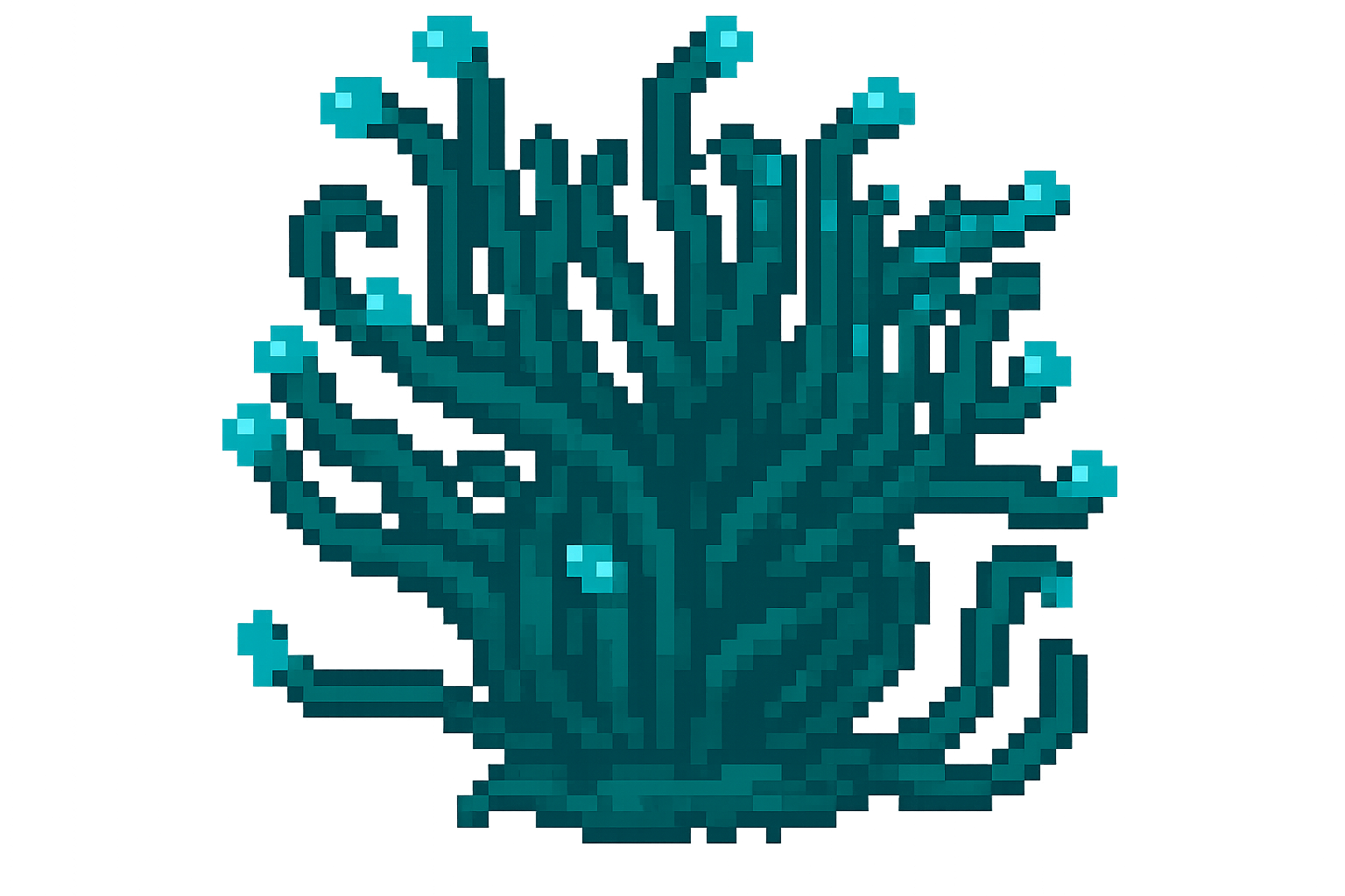 Edit Asset