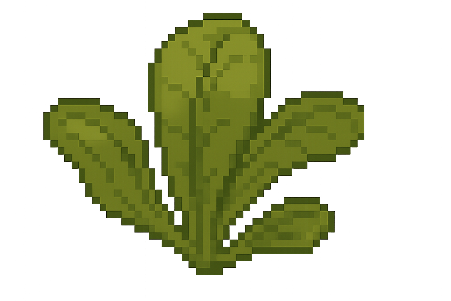 Edit Asset