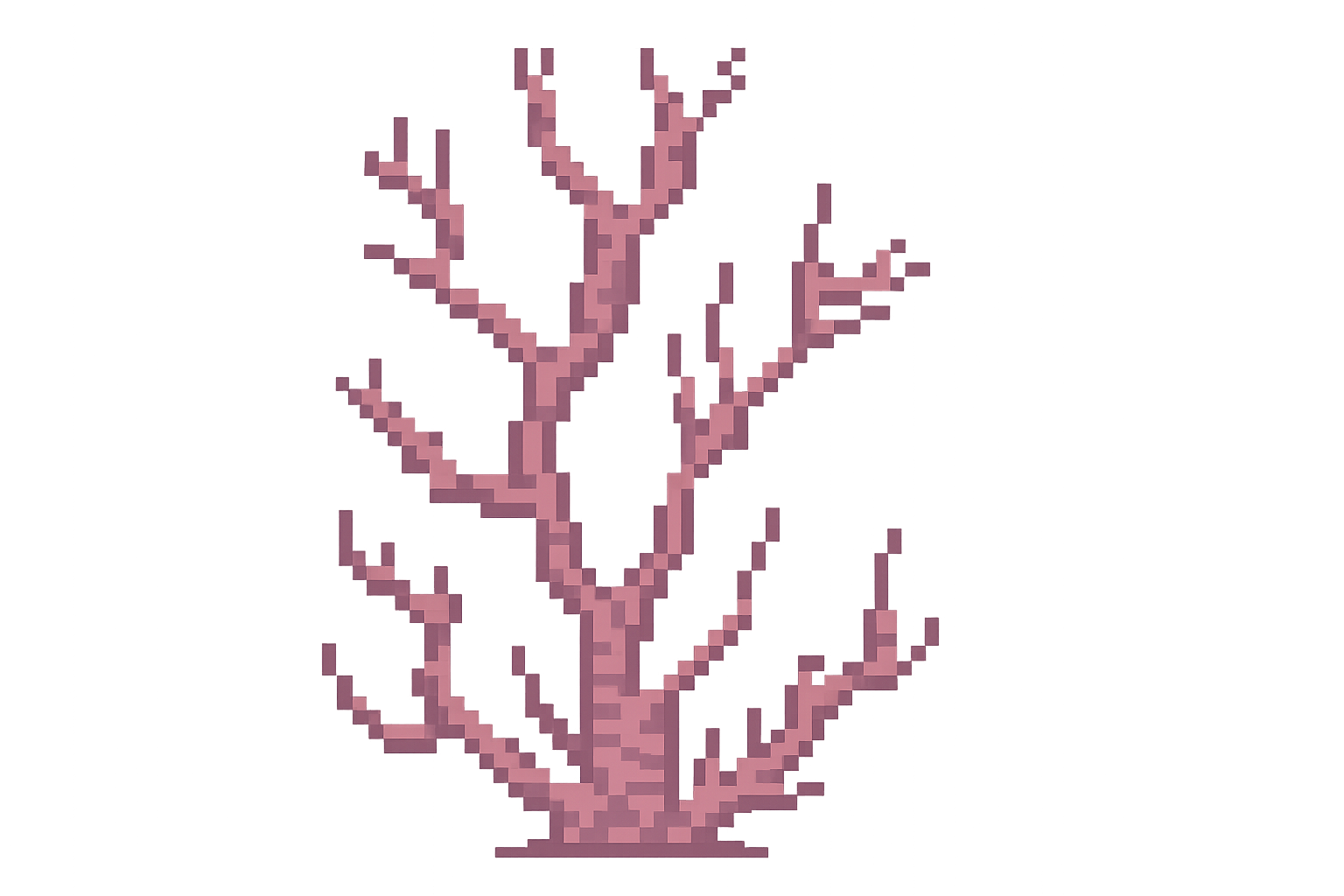 Edit Asset