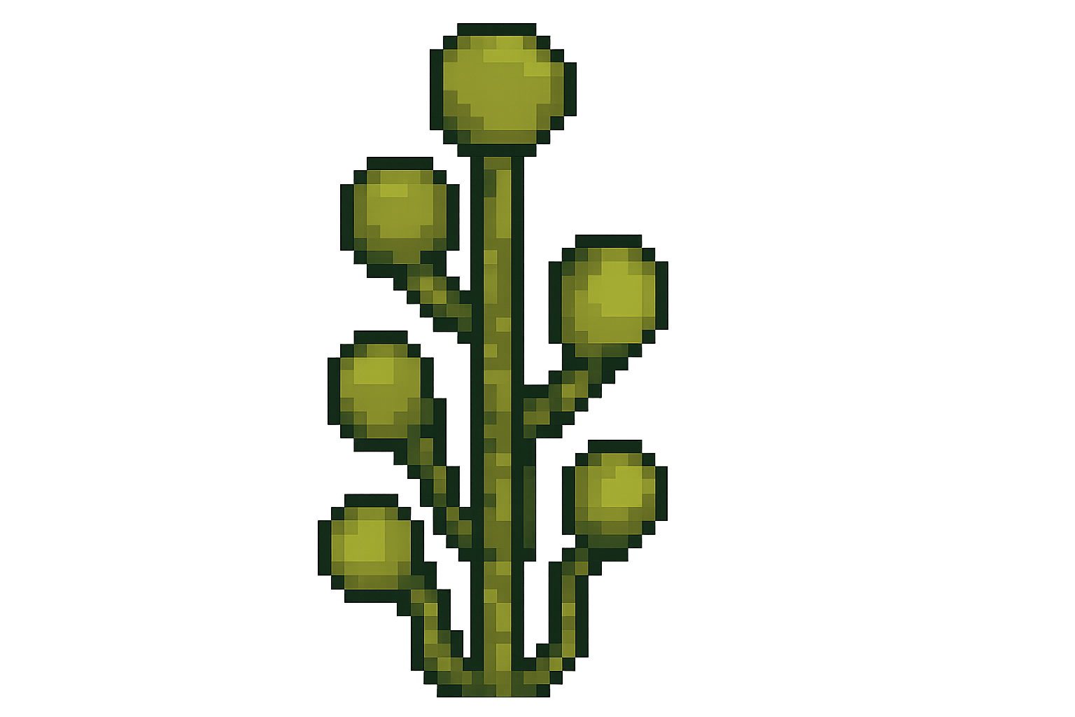 Edit Asset