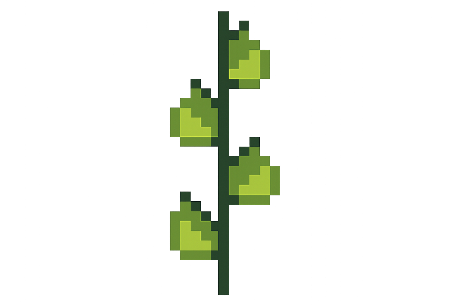 Edit Asset