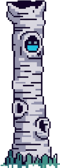 Asset