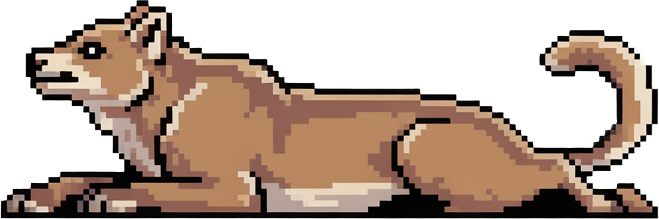 Asset
