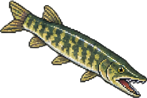a northern pike, a rainbow trout, a bluegill, a largemouth bass, a crawdad, an earthworm