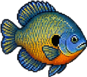 a northern pike, a rainbow trout, a bluegill, a largemouth bass, a crawdad, an earthworm