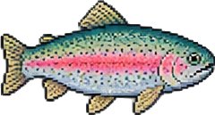 a northern pike, a rainbow trout, a bluegill, a largemouth bass, a crawdad, an earthworm