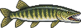 a northern pike, a rainbow trout, a bluegill, a largemouth bass, a crawdad, an earthworm