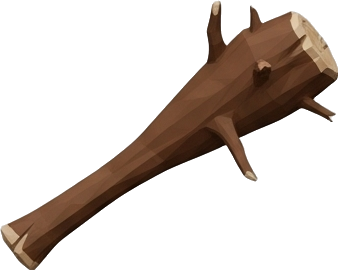 Asset